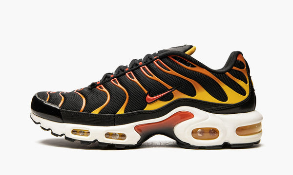 Nike Air Max Plus Reverse Sunset DC6094-001 Size 8-13 Brand New Under Retail