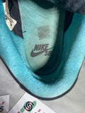 Nike SB Low Clear Jade 2011 Size 8.5 304292 030 No Original Box