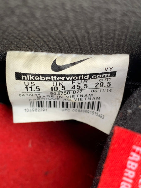 Nike Dunk SB Beijing 2014 Size 11.5 504750 077